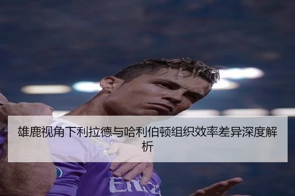 雄鹿视角下利拉德与哈利伯顿组织效率差异深度解析